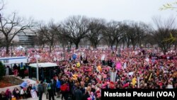 Des milliers de participants écoutent les discours sur le Mall, Washington DC, le 21 janvier 2017. (VOA/Nastasia Peteuil)