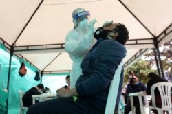 A health worker takes a nasal swab sample for a COVID-19 test, provided for free by the municipal government in Bogota, Colombia, Oct. 16, 2020.