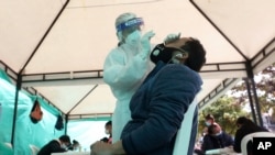 A health worker takes a nasal swab sample for a COVID-19 test, provided for free by the municipal government in Bogota, Colombia, Oct. 16, 2020.