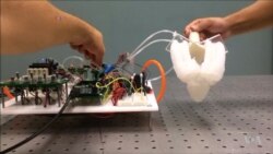 Robotic Fingers Get a Feel for the Real World