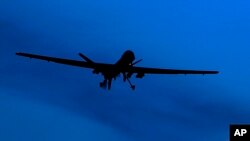 این حملات عصر روز دوشنبه در منطقه بخت‌آباد ولسوالی شیندند هرات انجام شده اند