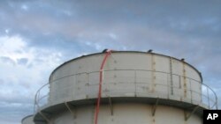 Fukushima Since the Tsunami