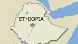 ዲሞክራሲ በተግባር