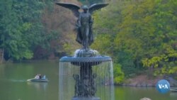 Amerikaga sayohat: Markaziy park