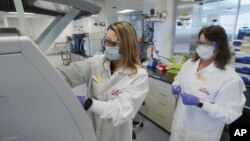 Gjatë kërkimeve në laboratorët amerikanë për antitrupat kundër COVID-it