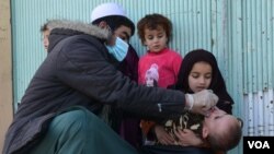 از آغاز سال ۲۰۲۱ میلادی یک واقعه پولیو در غزنی به ثبت رسیده است.