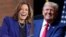 La vice-présidente démocrate Kamala Harris et l'ancien president républicain Donald Trump, principaux candidats à la présidentielle du 5 novembre 2024 aux Etats-Unis (AP)