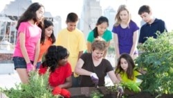 Quiz - The Healthy Benefits of Gardening
