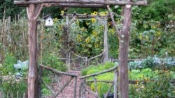 Quiz - Final Thoughts from a Garden Expert