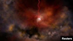 Artist's conception of a neutron star with an ultra-strong magnetic field, called a magnetar. (Bill Saxton, NRAO/AUI/NSF/Handout via REUTERS)