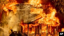 미 서부 캘리포니아주 도일에서 소방관들이 산불 진압을 하고 있다. 