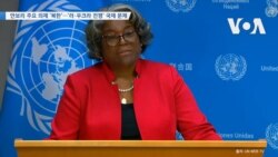 [VOA 뉴스] 안보리 주요 의제 ‘북한’…‘러·우크라 전쟁’ 국제 문제