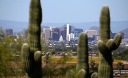 FILE - Framed by saguaro cactus, the downtown Phoenix skyline is easier to see, as fewer motorists in Arizona are driving, following the state stay-at-home order due to the coronavirus, April 7, 2020.