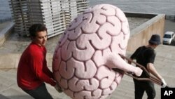 سائنسی سچائیاں جو سچ نہیں