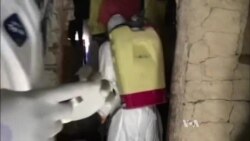 Ebola va "Islomiy davlat" - siyosiy reklamalar mavzusi