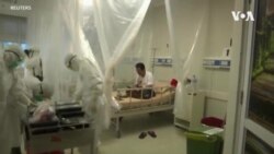 วัคซีน 'ชิโนแวค' ป้องกันไวรัสสายพันธุ์เดลตา ได้หรือไม่?