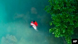 In this Thursday, May 23, 2019, photo, an official of the Department of Marine and Coastal Resources holds Marium, a baby dugong separated from her mother, on Libong island, Trang province, southern Thailand. (Sirachai Arunrugstichai & Hannares Haripai vi