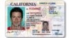 Undocumented Immigrants Apply for Driver’s Licenses in California