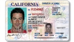 Undocumented Immigrants Apply for Driver’s Licenses in California