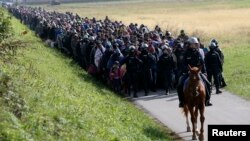 Polisi Slovenia mengatur para migran di dekat kota Dobova, Slovenia hari Selasa (20/10).