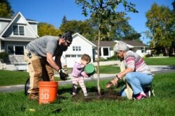 Volunteers planted trees at Minikahda Vista Park during the NeighborWoods Kick-Off Event, Oct. 5, 2016, in St Louis Park, Minn.