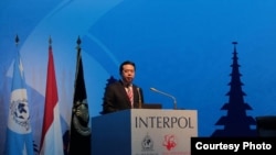 国际刑警组织主席、中国公安部副部长孟宏伟 （国际刑警组织官网图片）