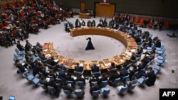 Arhiv - Zasjednje Vijeća sigurnosti UN-a (Foto: AFP/Angela Weiss)