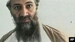 Osama bin Laden (file photo)