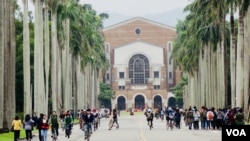 图为台湾大学校园。 (2017年11月23日)