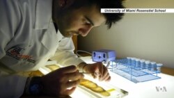 Ancient Climate Locked in Rocks