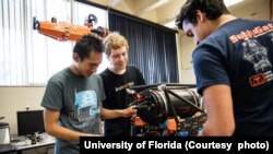 Engineering students work at the University of Florida.
