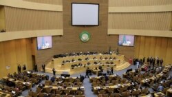 Faaruu Gamtaa Afrikaa Eenyu tu Barreesse?