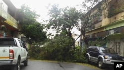 Des arbres sont éparpillés dans une rue de Quelimane, au Mozambique, le samedi 11 mars 2023. 