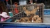 In this undated photo released by Dog Meat Free Indonesia, dogs for sale are seen in a cage on the back of a truck at a market in Air Madidi, North Sulawesi, Indonesia.