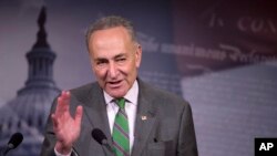 FILE - Senator Charles Schumer speaks to reporters on Capitol Hill, April 2, 2014.