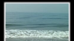 Bruklinda o'zbeklar davrasida/Uzbeks of Brooklyn, NYC