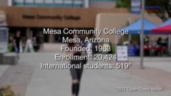 Forming a Second Family at Mesa Community College