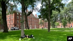 FILE - A person relaxes at Harvard University, Thursday, June 29, 2023, in Cambridge, Mass. A civil rights group is taking legal action against legacy admissions at Harvard University. (AP Photo/Michael Casey)