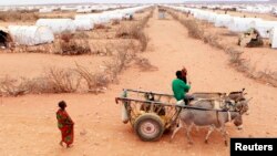 Un réfugié somalien conduit ses mulets dans le camp de réfugiés de Dolo Ado, à 60 km de la frontière entre l’Ethiopie et la Somalie, 11 août 2011.
