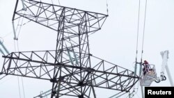 Специалисты латвийского оператора обрезают провод линии электропередач, Вилака, Латвия, 8 февраля 2025 года (фото Reuters/Ints Kalnins).