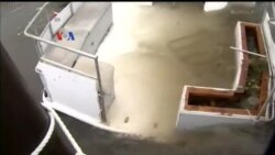 Badai Irma Menghantam Florida