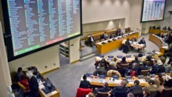 BMTning Inson huquqlari anjumani boshlandi. Behzod Muhammadiy