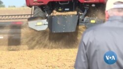 US Farmers Prepare to Vote Amid Record Government Aid