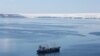 Does Krill Fishing Threaten Wildlife in Antarctica?