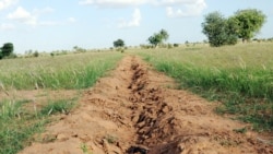 Dans un camp de réfugiés au Rwanda, le reboisement prend de l'ampleur