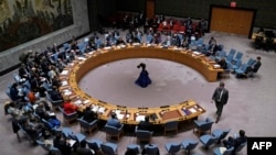 نشست اعضای شورای امنیت سازمان ملل متحد (تصویر از آرشیف صدای امریکا) 