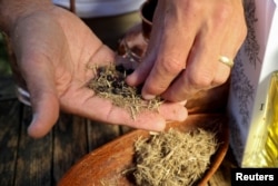 Les Ansley, owner of Indlovu Gin, separates juniper berries and botanicals from dried elephant dung, used to make Indlovu gin, in Paarl, near Cape Town, South Africa, January 28, 2022. Picture taken January 28, 2022. REUTERS/Sumaya Hisham