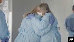 การทดลองปลูกถ่ายไตหมูในร่างกายมนุษย์ที่ NYU Langone Health