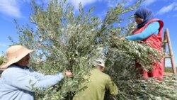 La Tunisie a besoin d'un accord avec le FMI; le taux du chômage en recul aux Etats-Unis