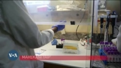 Mkutano wa COP29 wahudhuriwa na mataifa takriban 200 Azerbaijan